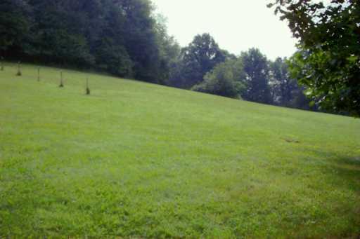 211 Woodland Road Apollo, PA 15613 - Photo 2 of 4 Land.