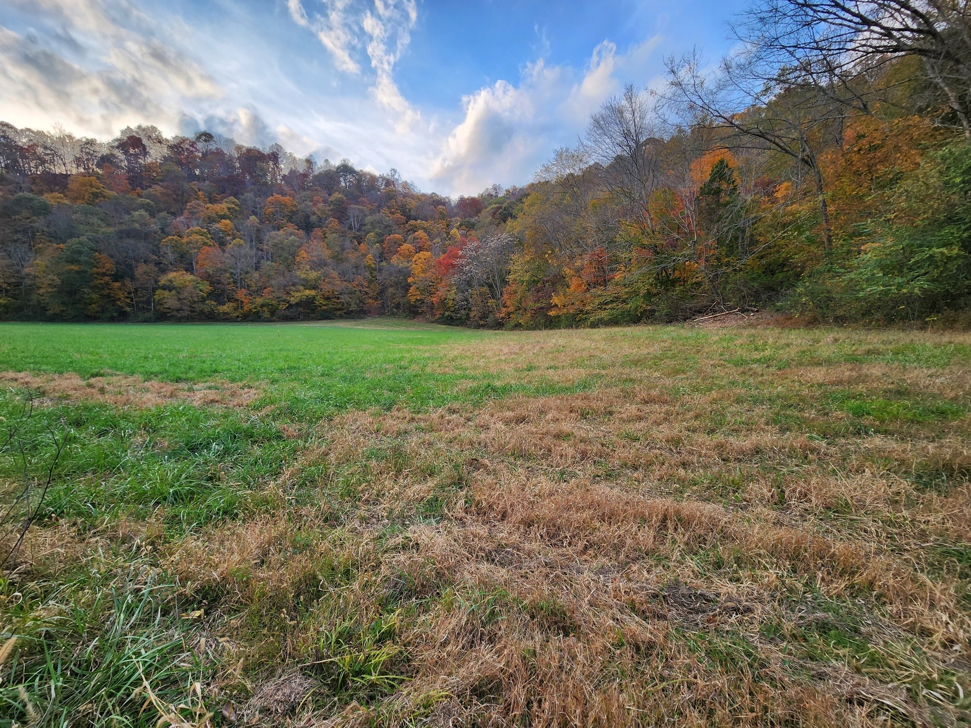 0 Pine Lick Road Whitleyville, TN 38588 - Photo 1 of 16 a view of a yard and mountain view