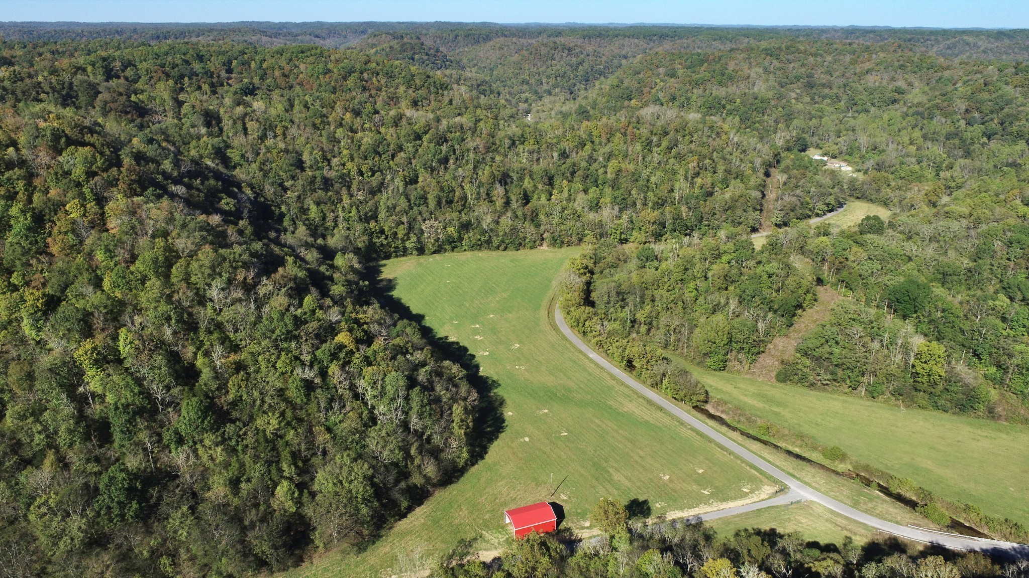 0 Pine Lick Road Whitleyville, TN 38588 - Photo 11 of 16 a view of a yard with potted plants
