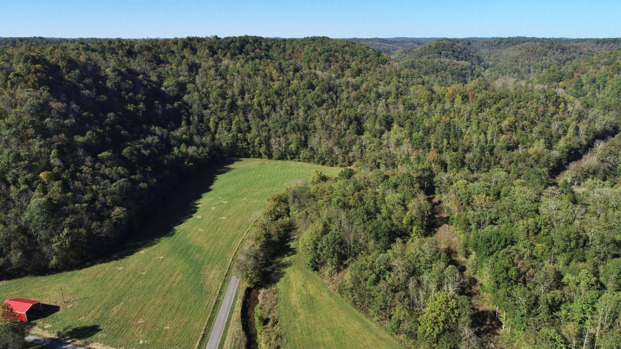 0 Pine Lick Road Whitleyville, TN 38588 - Photo 12 of 16 a view of a forest with a forest