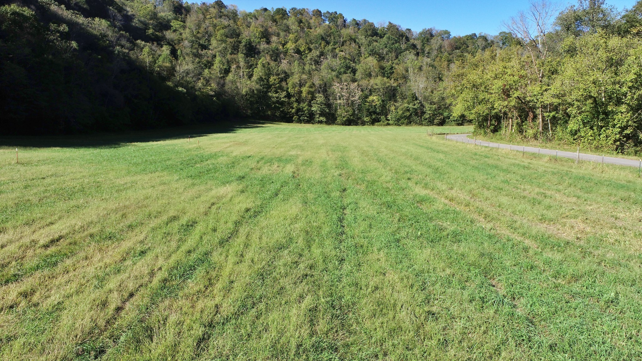 0 Pine Lick Road Whitleyville, TN 38588 - Photo 15 of 16 a view of grassy field with trees