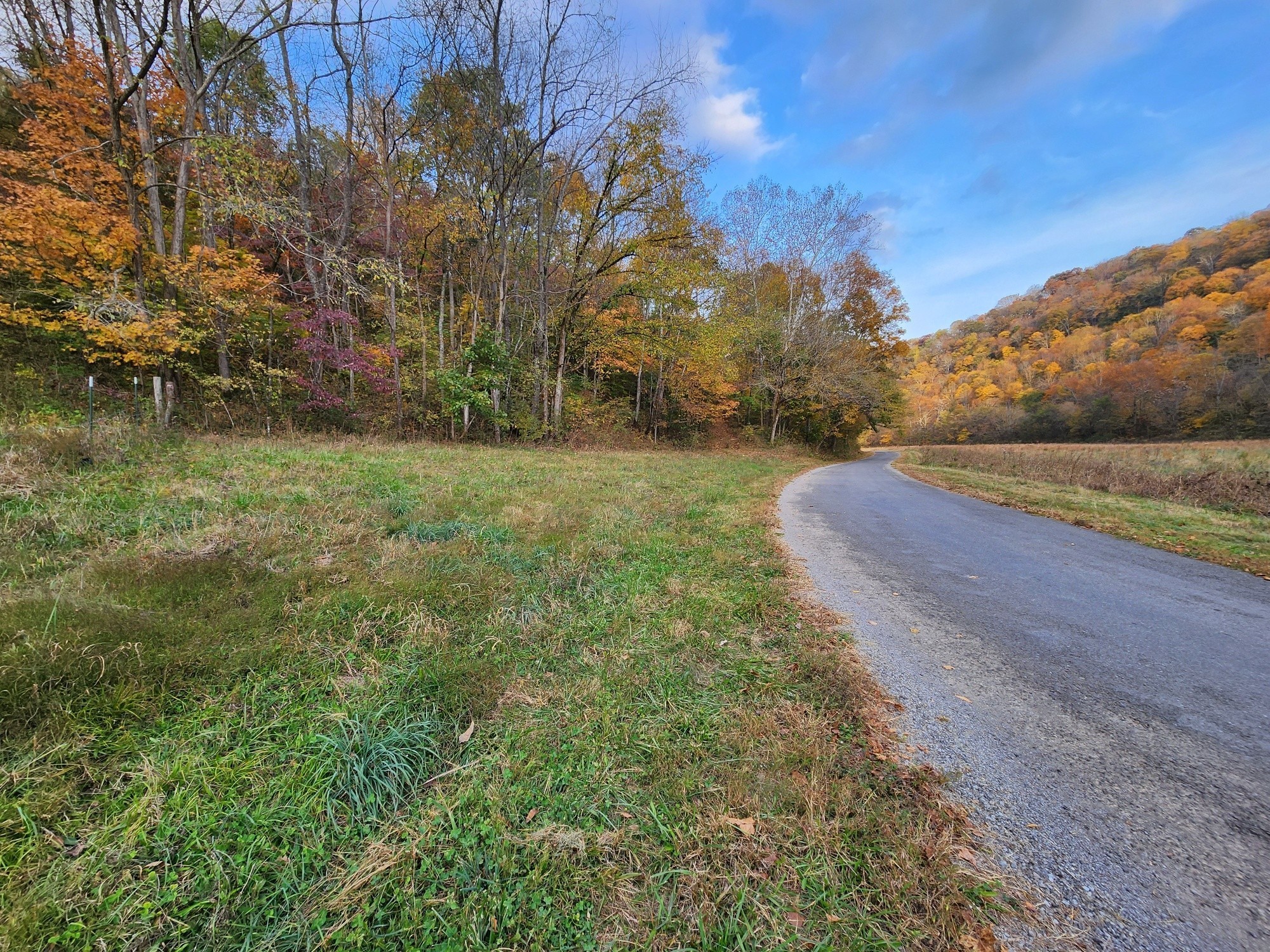 0 Pine Lick Road Whitleyville, TN 38588 - Photo 4 of 16 a view of a field