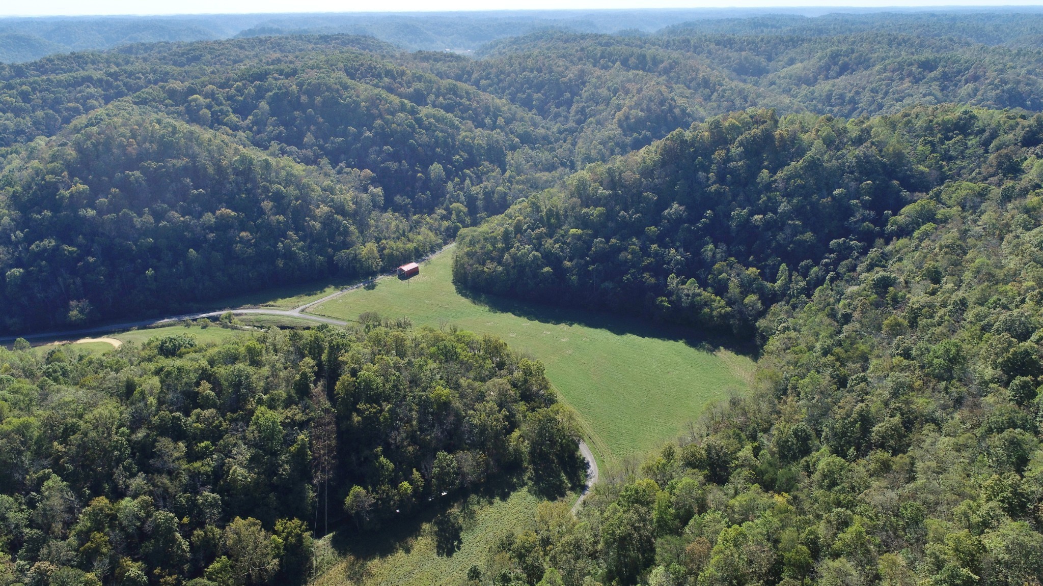 0 Pine Lick Road Whitleyville, TN 38588 - Photo 9 of 16 a view of a field with a tree