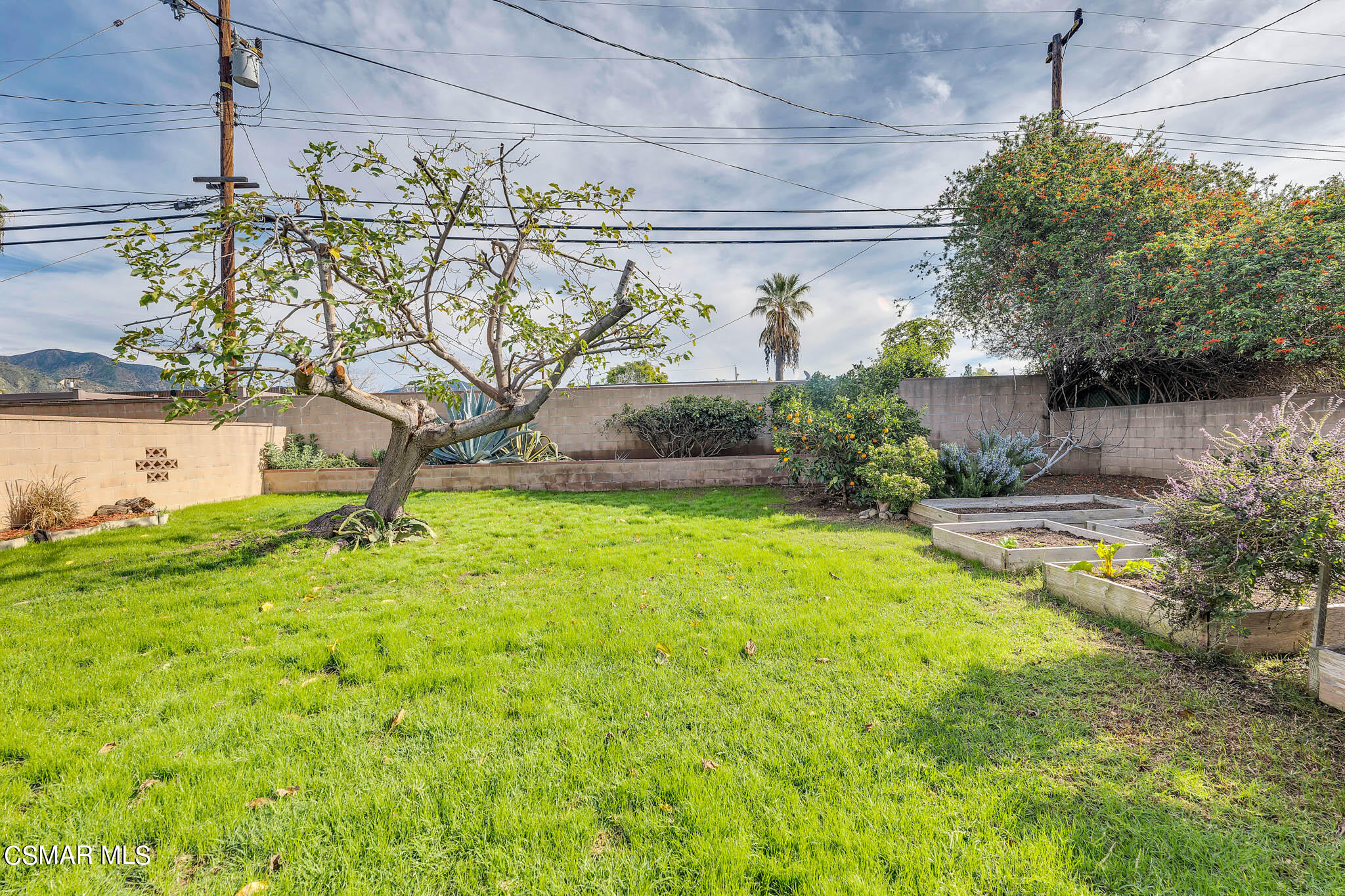 538 Mountaincrest Road Duarte, CA 91010 - Photo 42 of 63 a backyard of a house with lots of green space