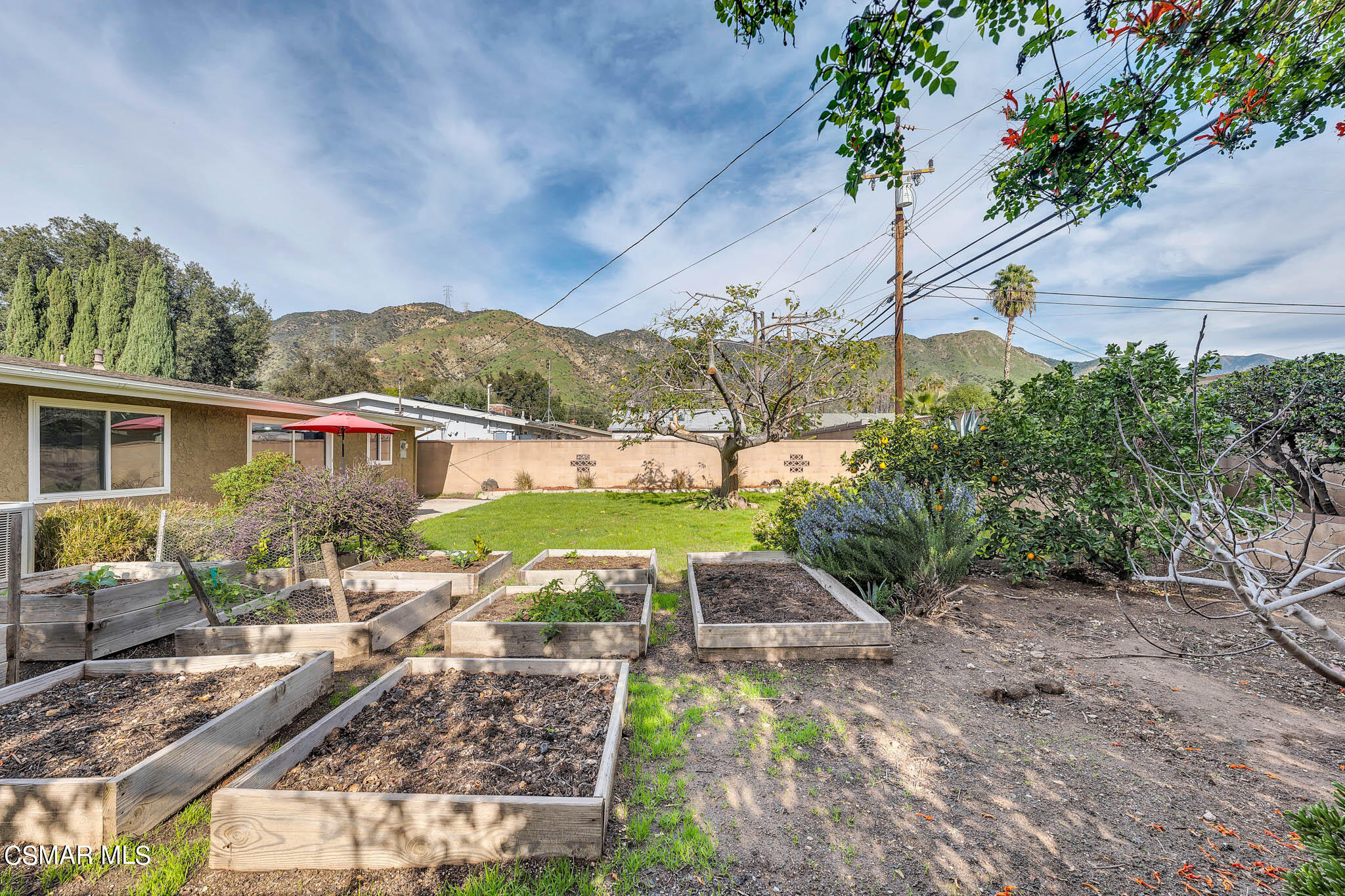 538 Mountaincrest Road Duarte, CA 91010 - Photo 47 of 63 538 Mountaincrest Rd-Backyard (9)