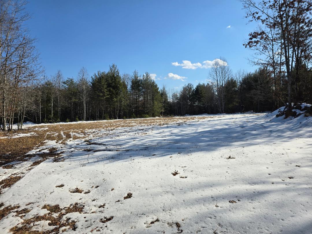0 Hayden Road Eagle Rock, VA 24085 - Photo 12 of 17 Big Buck field