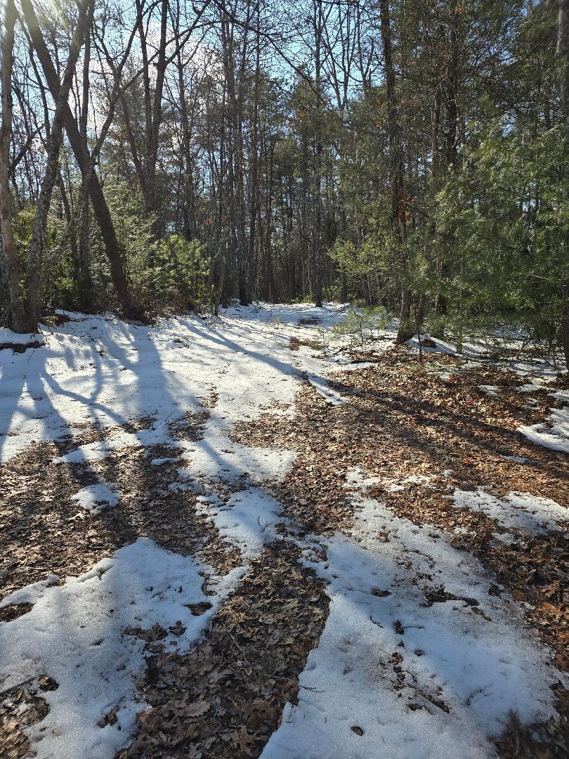 0 Hayden Road Eagle Rock, VA 24085 - Photo 13 of 17 Top West trail