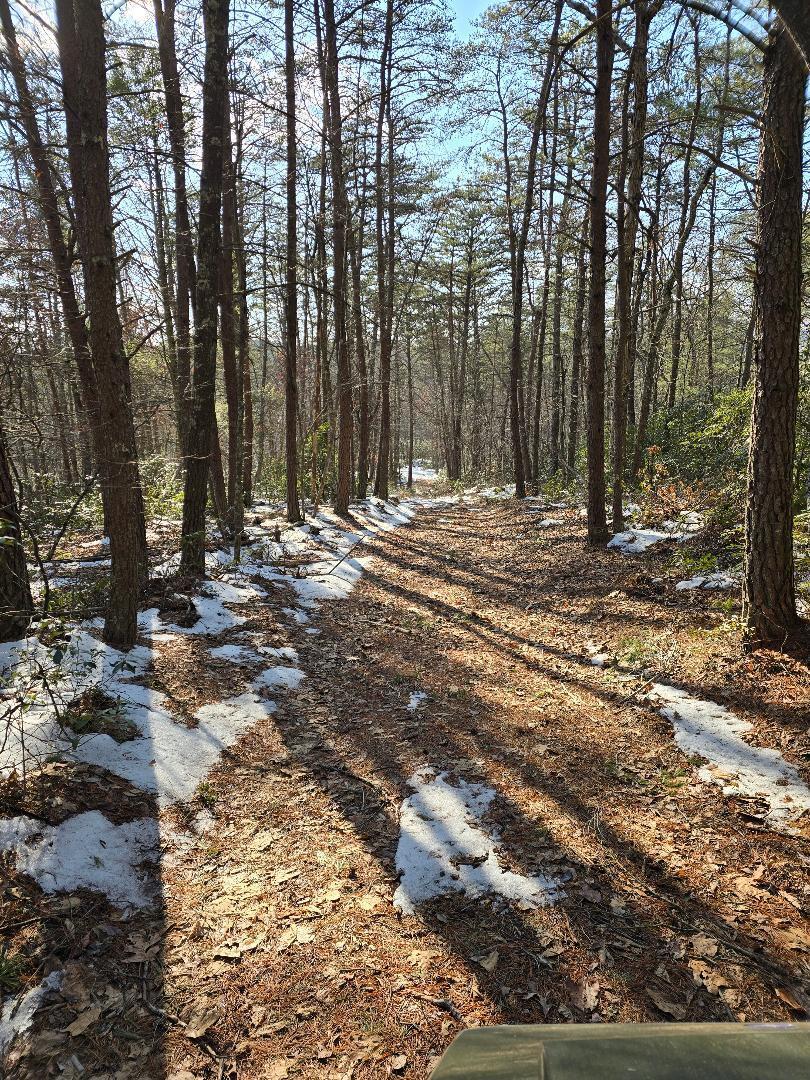 0 Hayden Road Eagle Rock, VA 24085 - Photo 15 of 17 Trail down