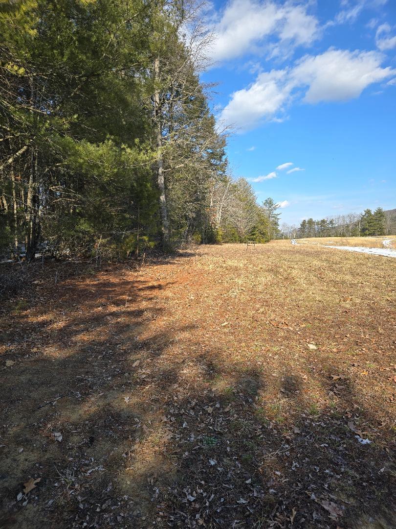 0 Hayden Road Eagle Rock, VA 24085 - Photo 16 of 17 Top East Clearing