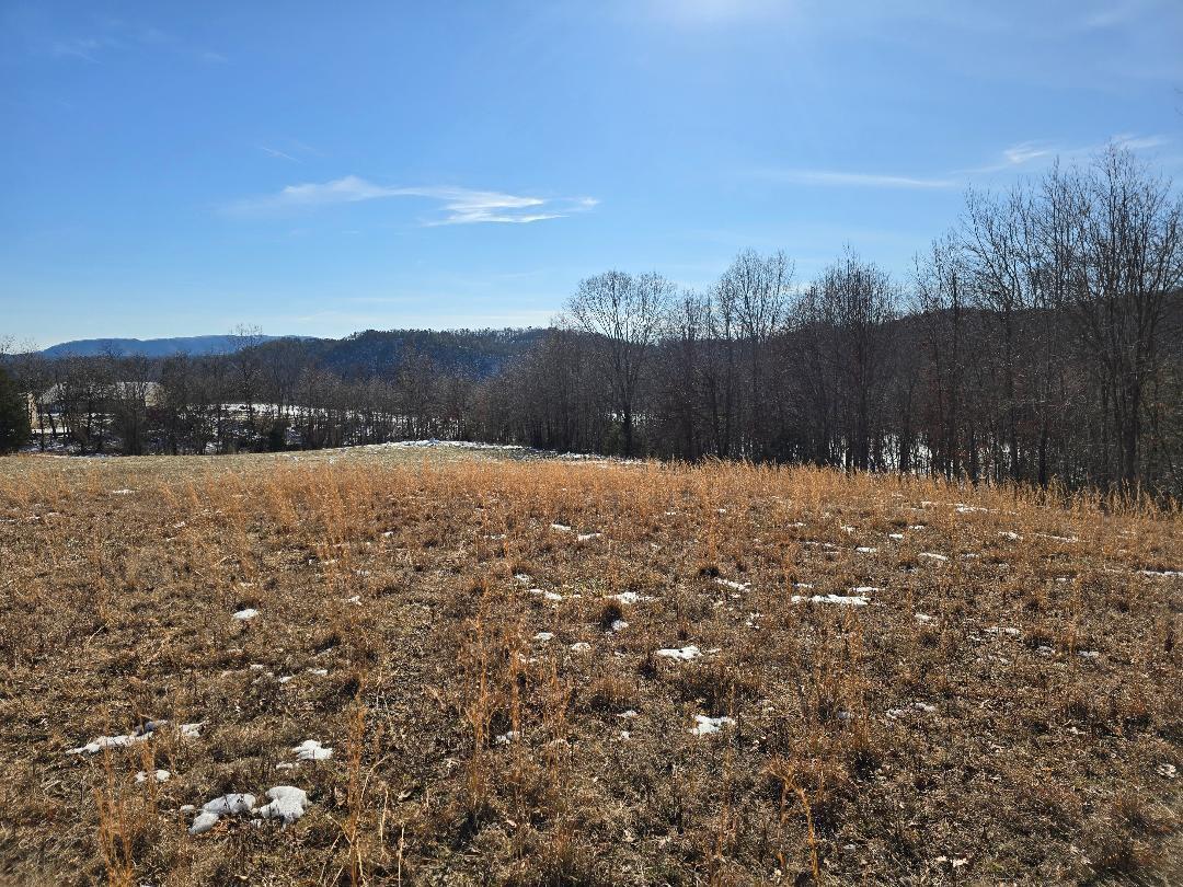 0 Hayden Road Eagle Rock, VA 24085 - Photo 10 of 17 above perc