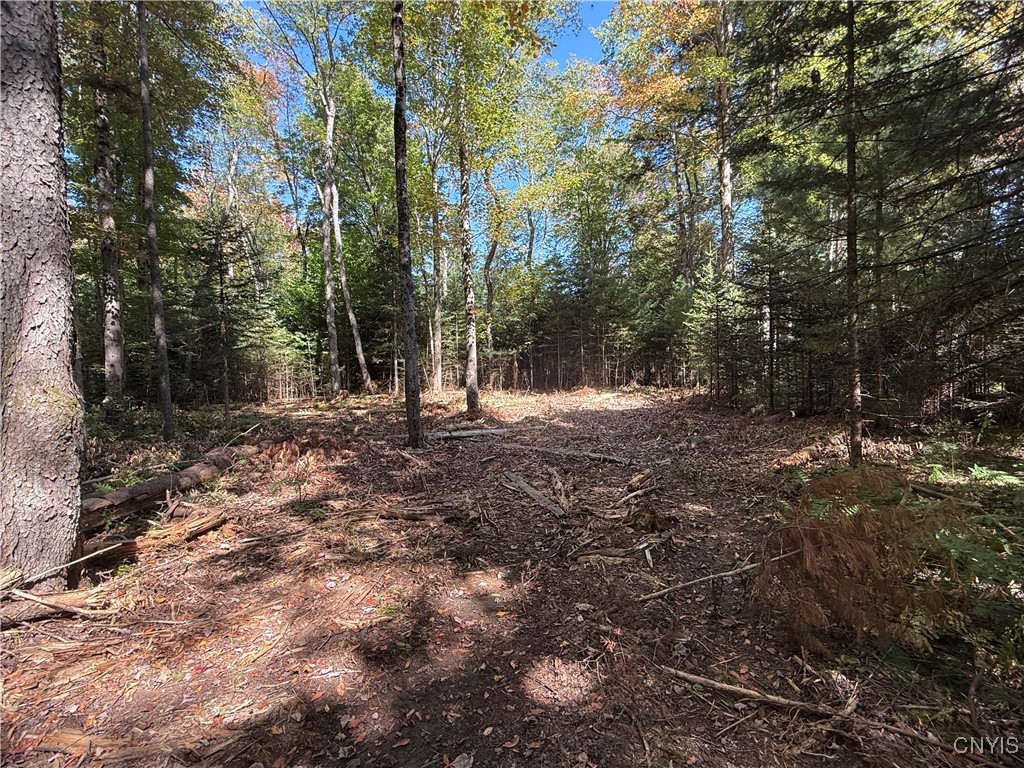 Lot #1 Beaver Trail Remsen, NY 13438 - Photo 2 of 10