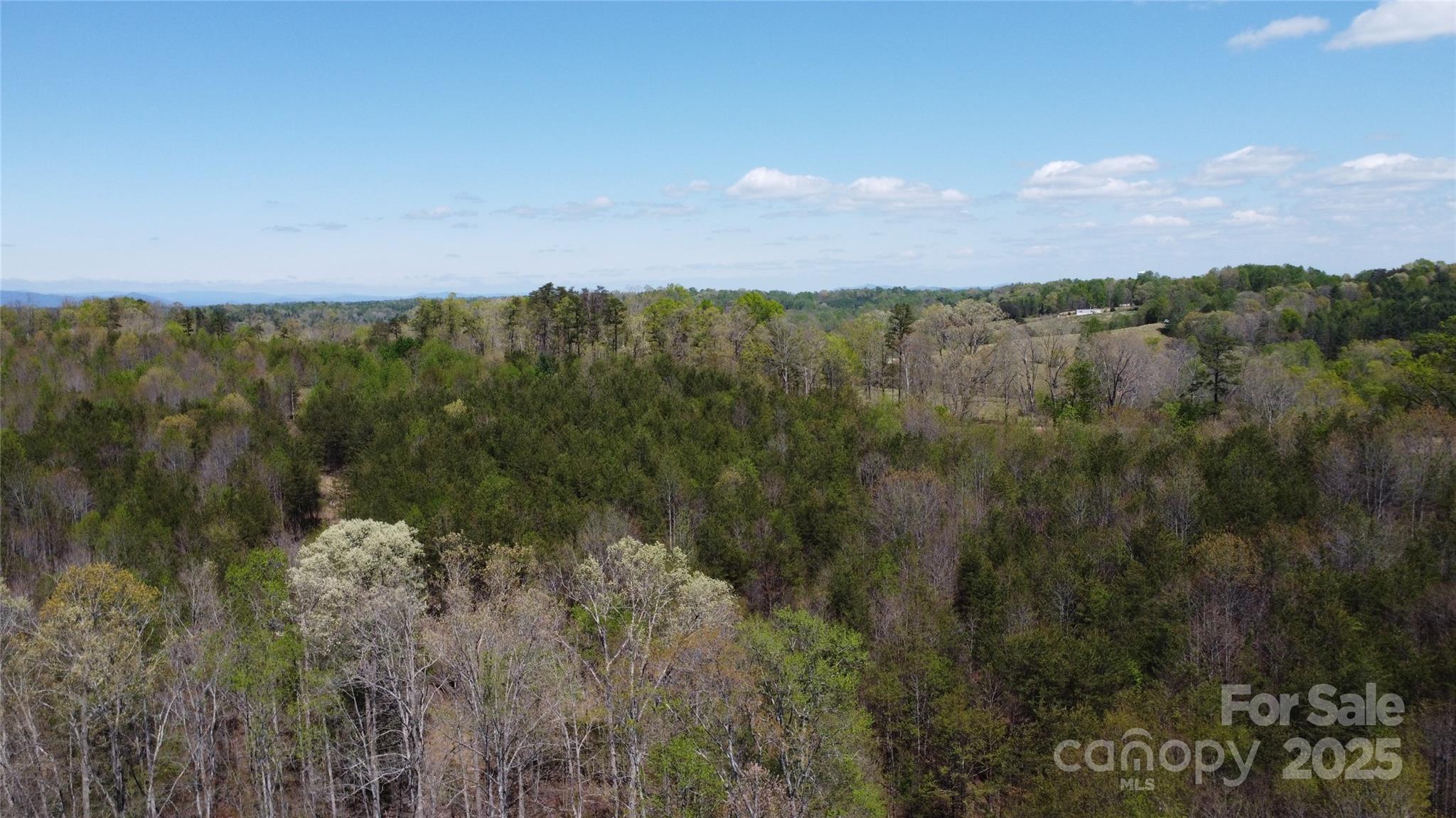 0 Snowhill Church Road Morganton, NC 28655 - Photo 23 of 40