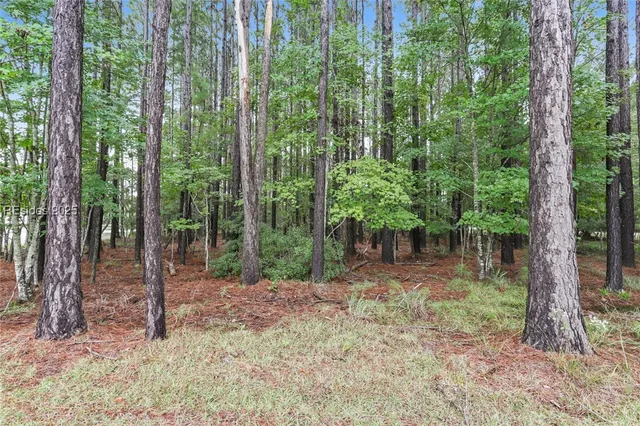 $395,900 | 25 Balsam Bay Court, Bluffton, SC 29910