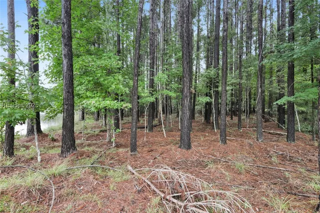 $395,900 | 25 Balsam Bay Court, Bluffton, SC 29910