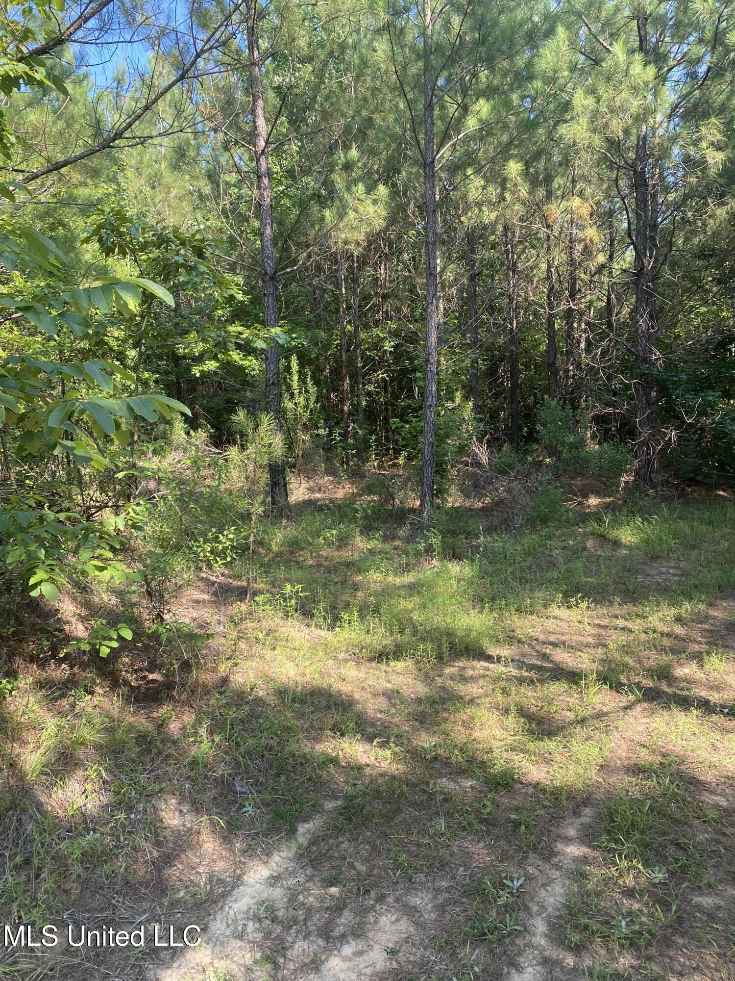 448 Attala Road Goodman, MS 39079 - Photo 13 of 42 IMG_8655