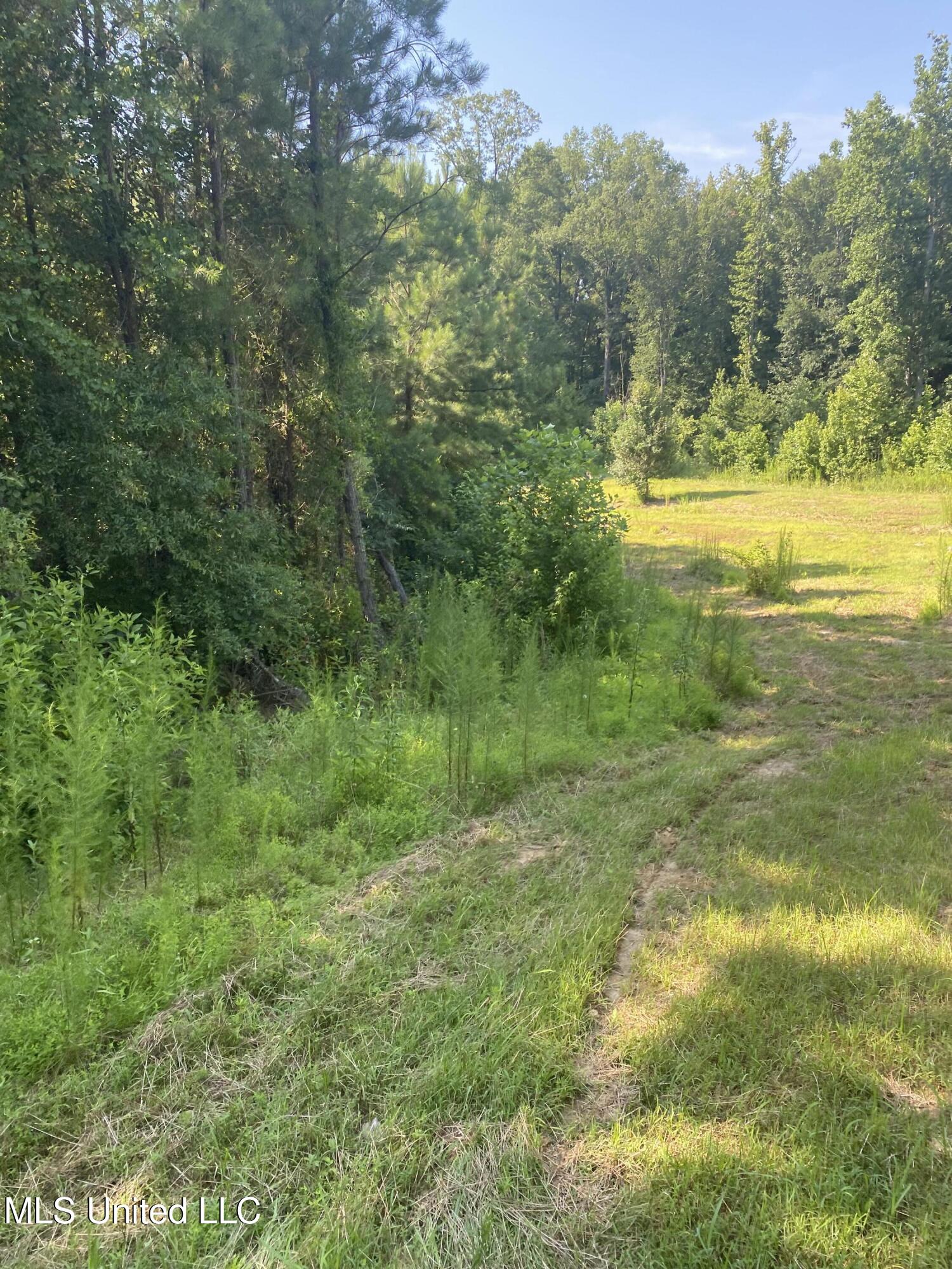 448 Attala Road Goodman, MS 39079 - Photo 17 of 42 IMG_8662