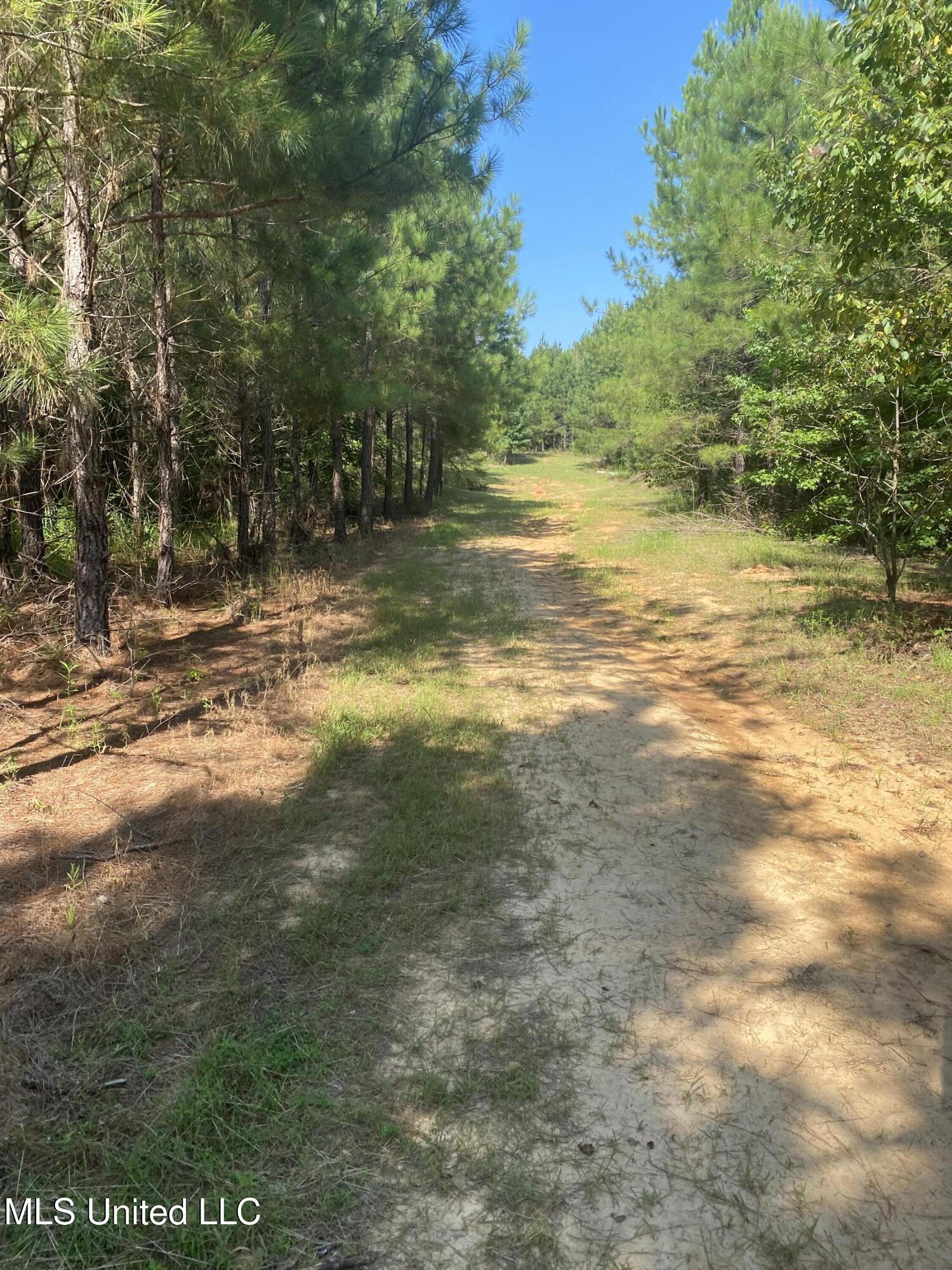 448 Attala Road Goodman, MS 39079 - Photo 2 of 42 IMG_8641