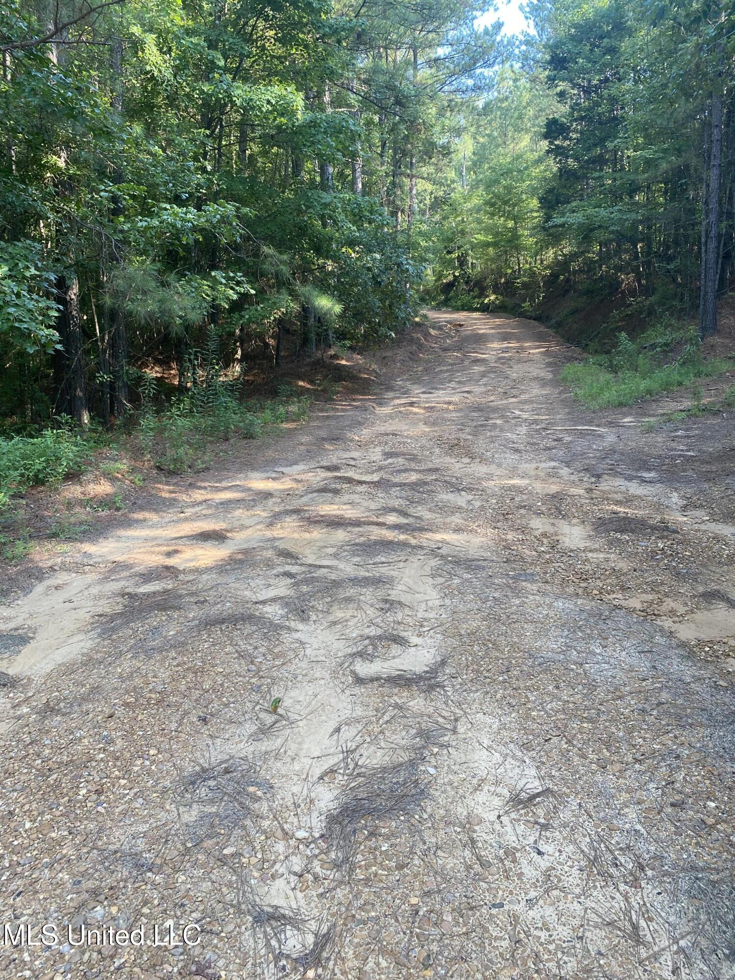 448 Attala Road Goodman, MS 39079 - Photo 26 of 42 IMG_8675