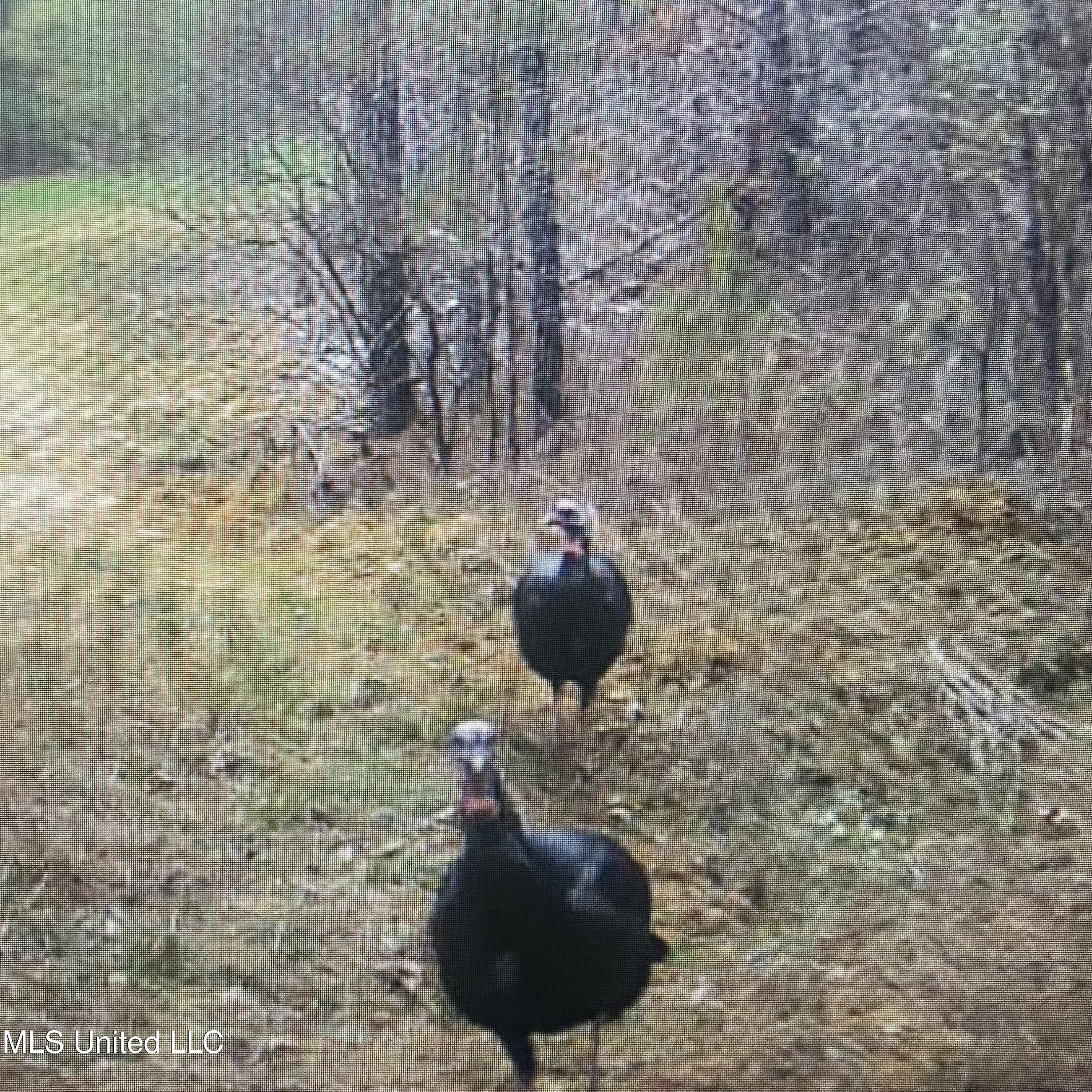 448 Attala Road Goodman, MS 39079 - Photo 27 of 42 IMG_8721