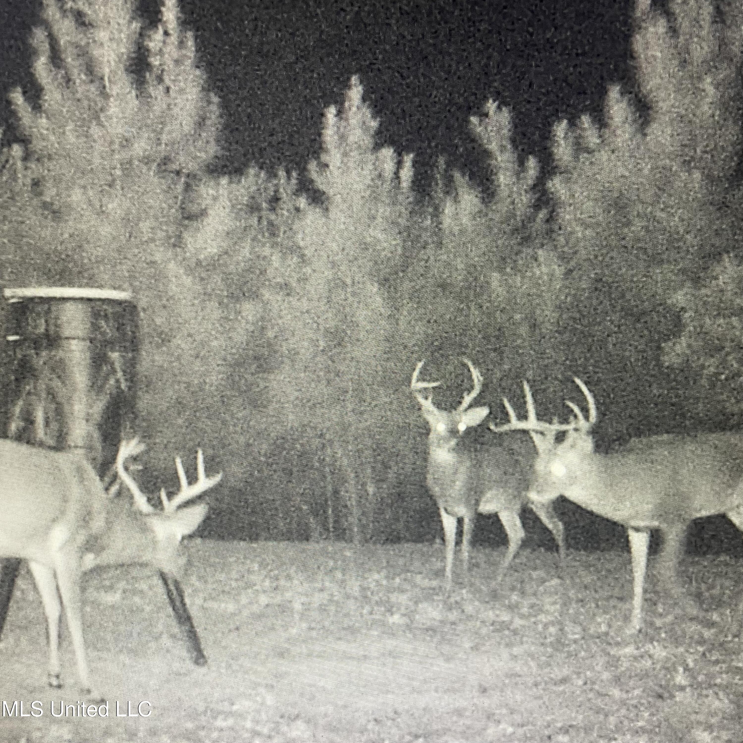 448 Attala Road Goodman, MS 39079 - Photo 28 of 42 IMG_8723