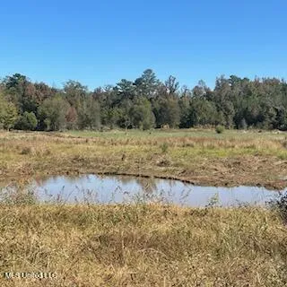 $577,500 | 448 Attala Road, Goodman, MS 39079