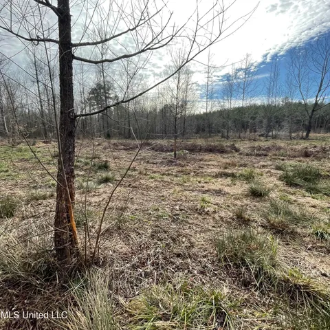 $577,500 | 448 Attala Road, Goodman, MS 39079