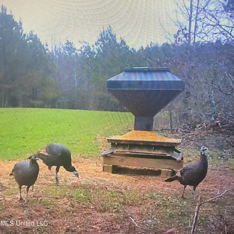 $577,500 | 448 Attala Road, Goodman, MS 39079