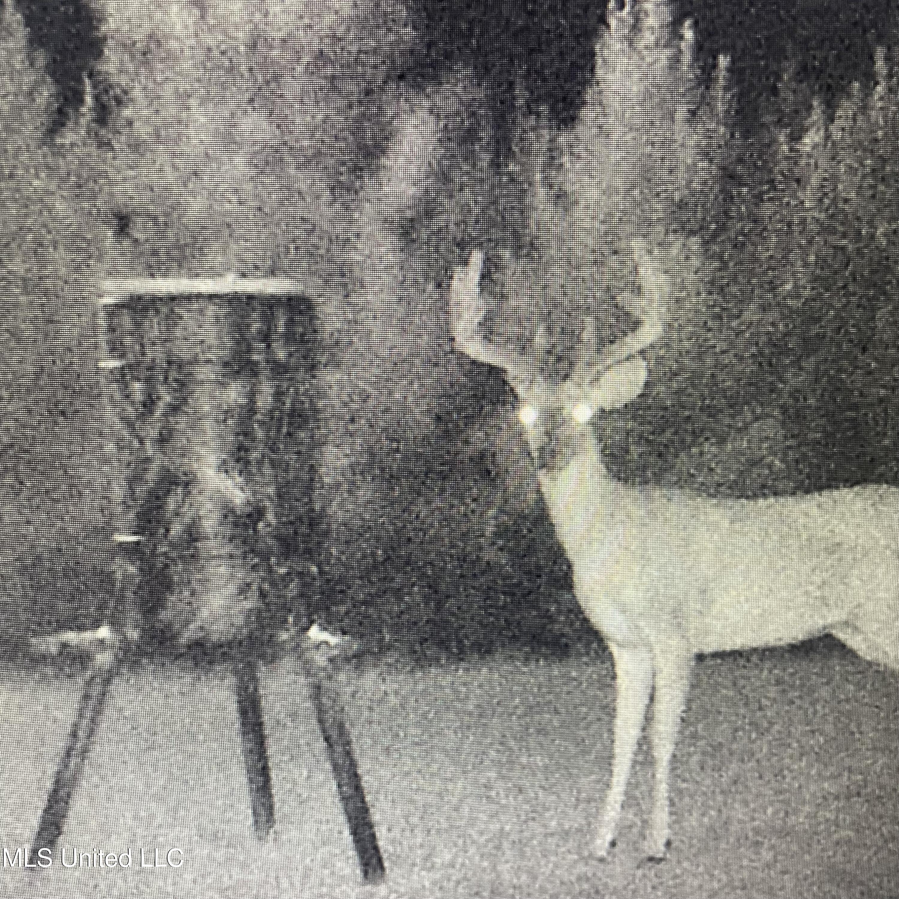 448 Attala Road Goodman, MS 39079 - Photo 35 of 42 IMG_8740