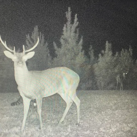 $577,500 | 448 Attala Road, Goodman, MS 39079