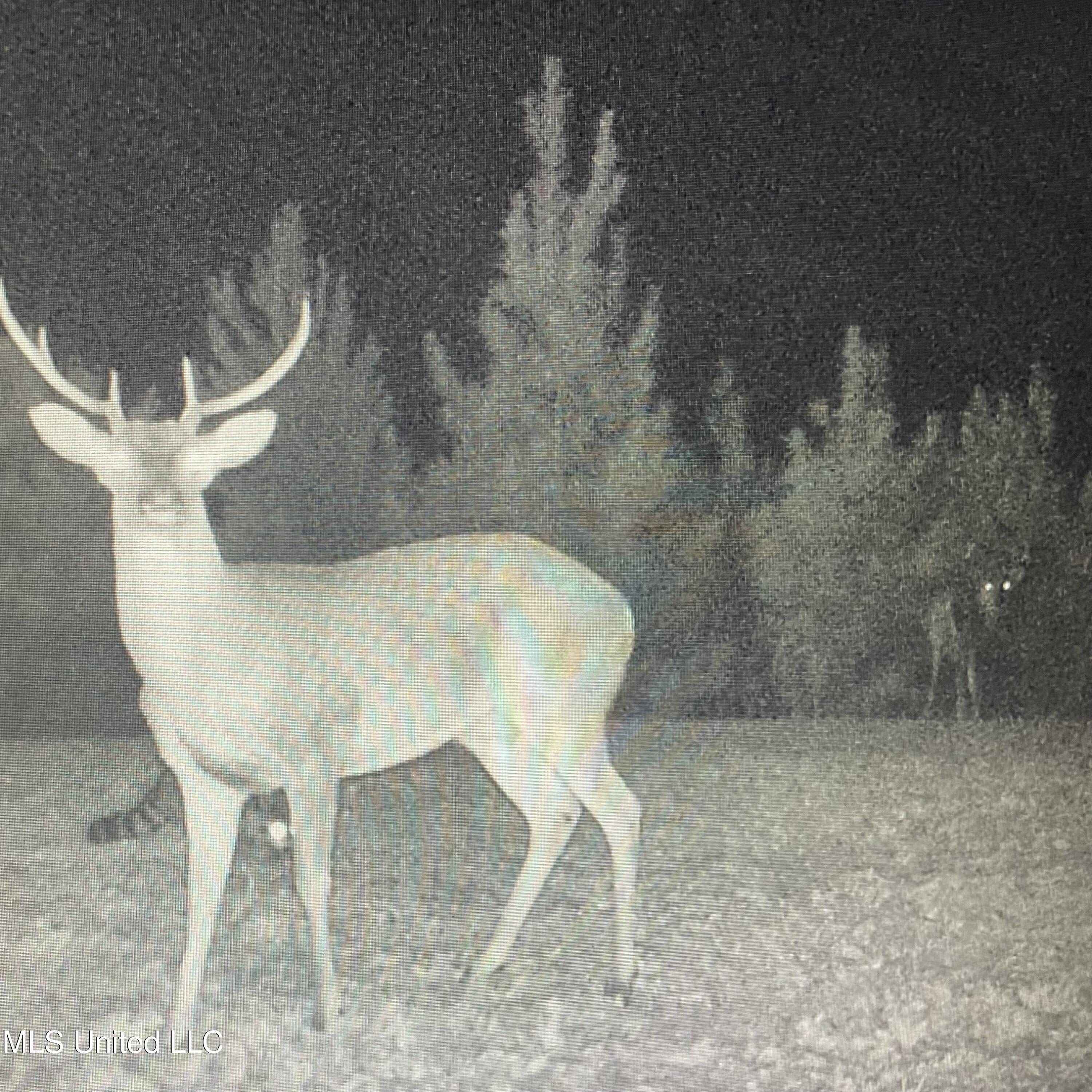 448 Attala Road Goodman, MS 39079 - Photo 37 of 42 IMG_8745