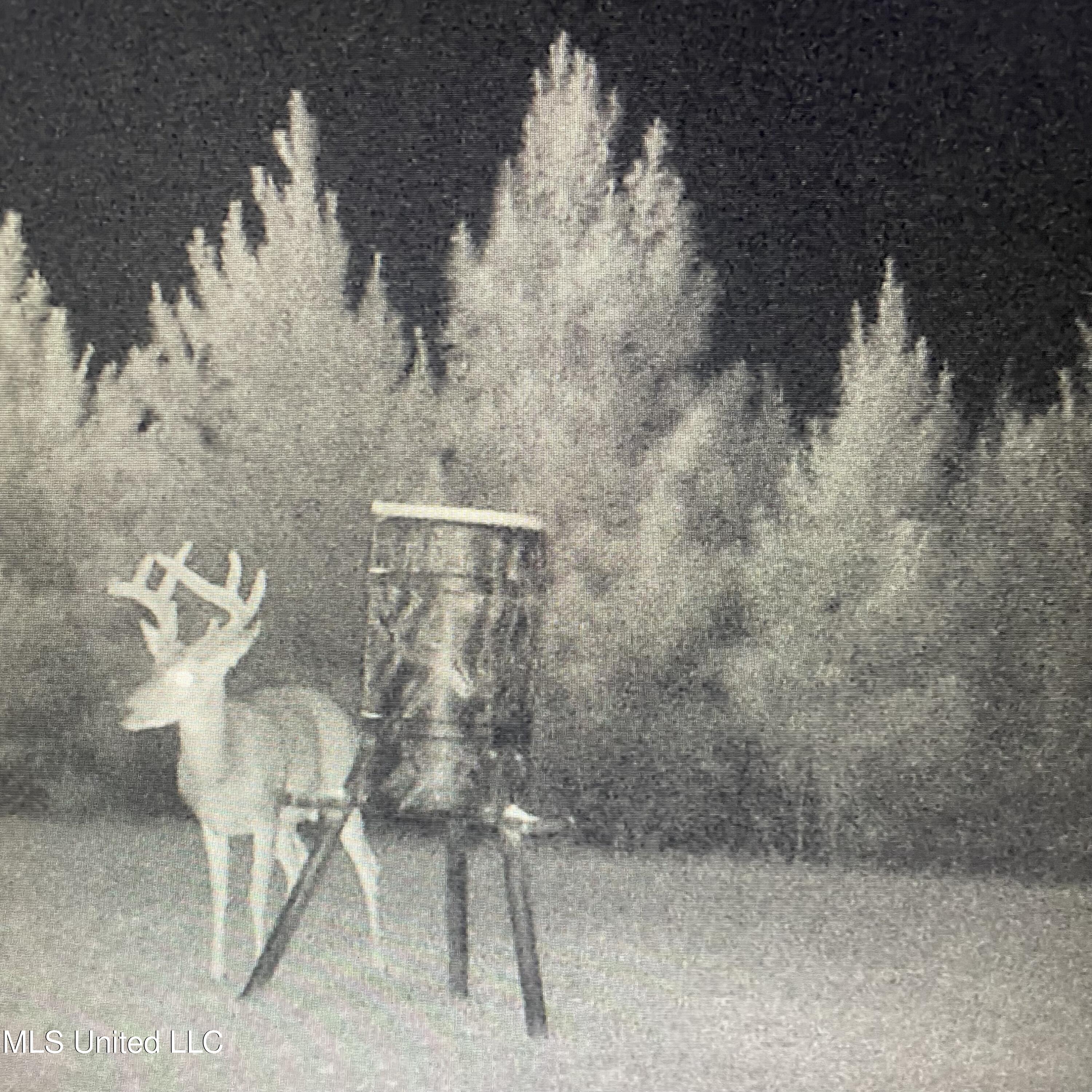 448 Attala Road Goodman, MS 39079 - Photo 39 of 42 IMG_8748