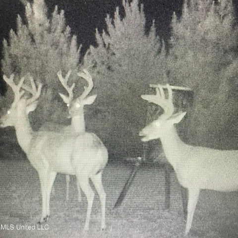 $577,500 | 448 Attala Road, Goodman, MS 39079