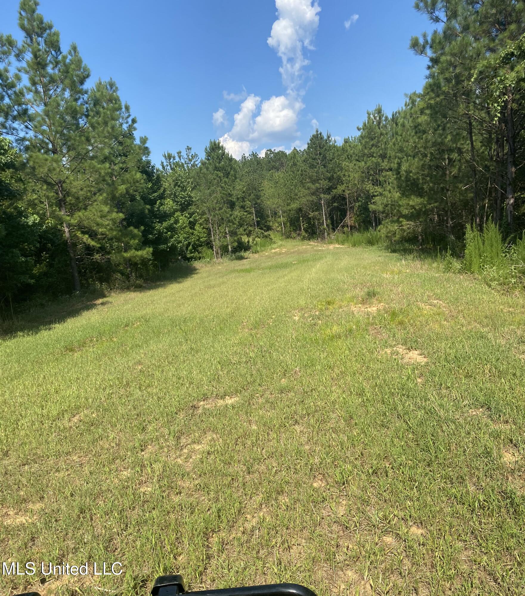 448 Attala Road Goodman, MS 39079 - Photo 6 of 42 IMG_8645