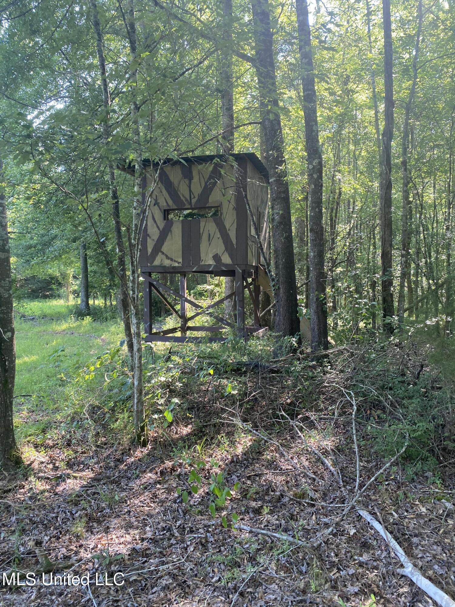 448 Attala Road Goodman, MS 39079 - Photo 8 of 42 IMG_8649