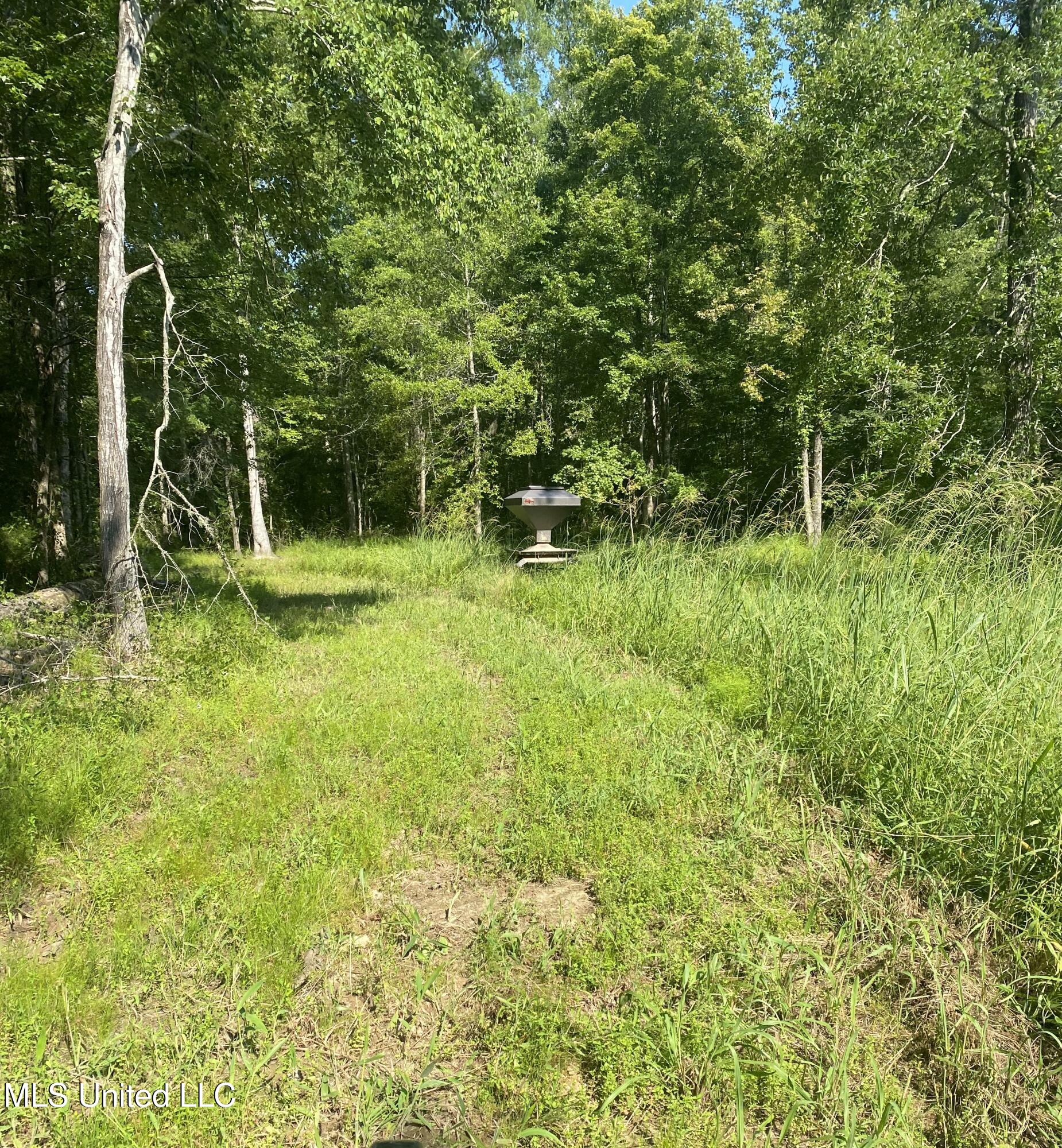 448 Attala Road Goodman, MS 39079 - Photo 10 of 42 IMG_8651