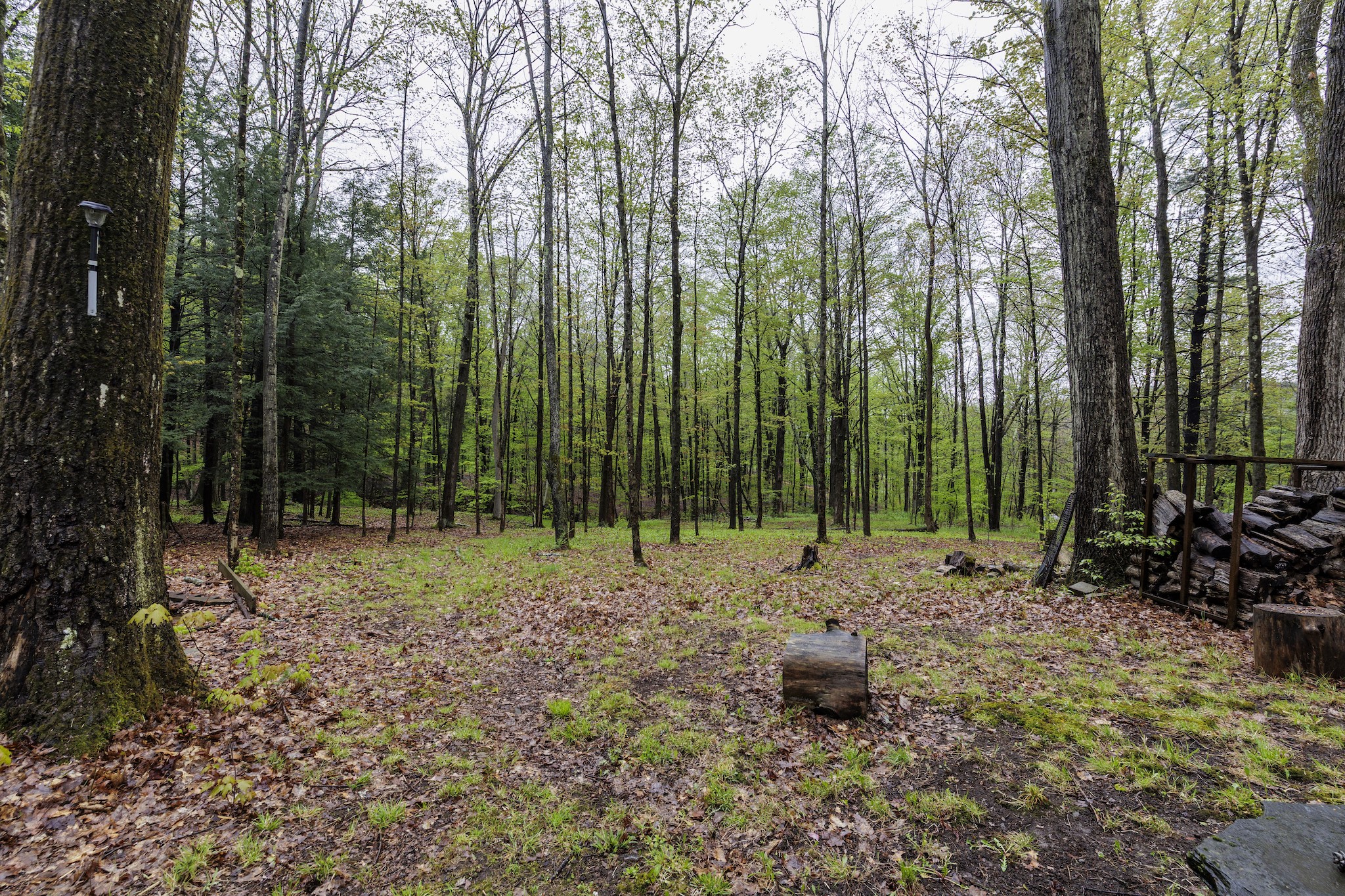 261 Depot Hill Road Port Crane, NY 13833 - Photo 20 of 21