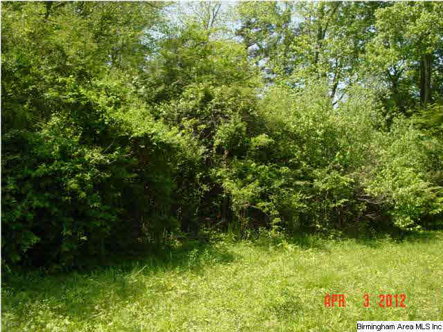 Mcintosh Road, Unit 4 Oxford, AL 36203 - Photo 18 of 24 Gallery Image 18