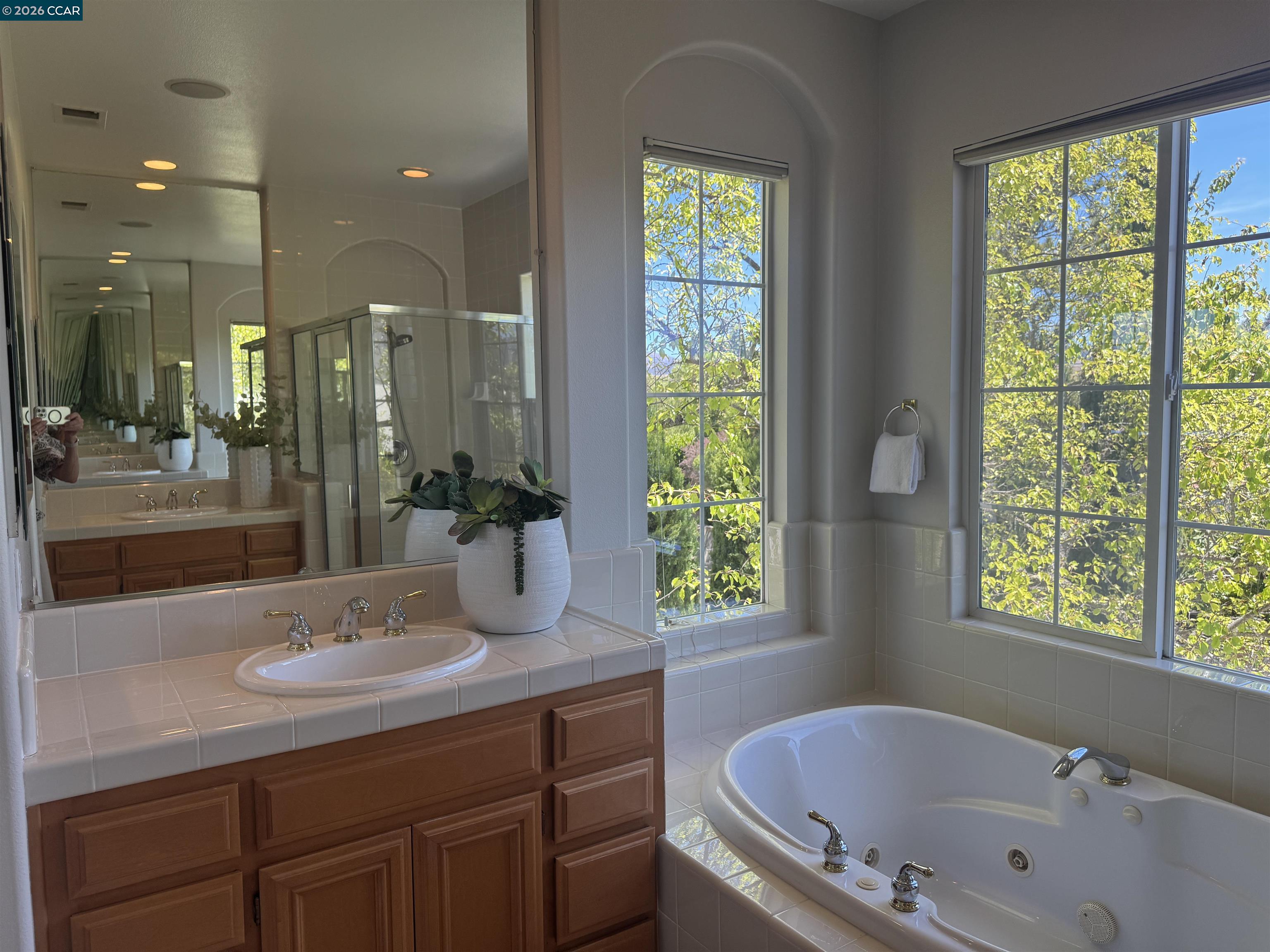 1166 South Chanterella Drive San Ramon, CA 94582 - Photo 13 of 25