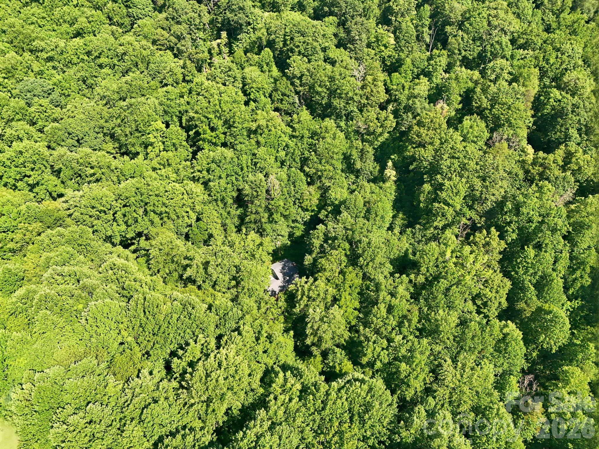 222 Morgan Cove Road Candler, NC 28715 - Photo 48 of 48 Gallery Image 48