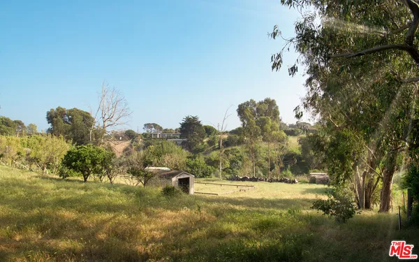 a view of a yard