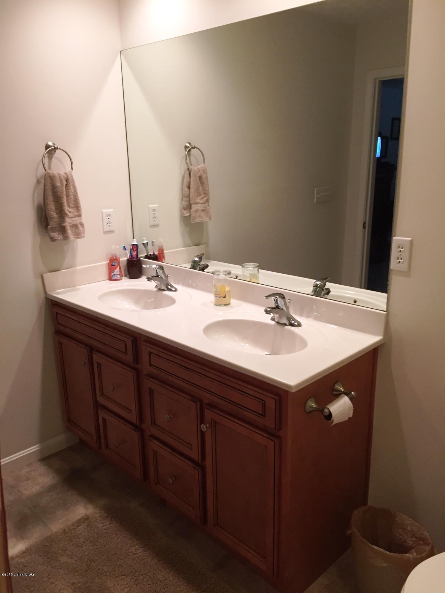 79 Rolling Ridge Court Brandenburg, KY 40108 - Photo 10 of 17 bathroom 1