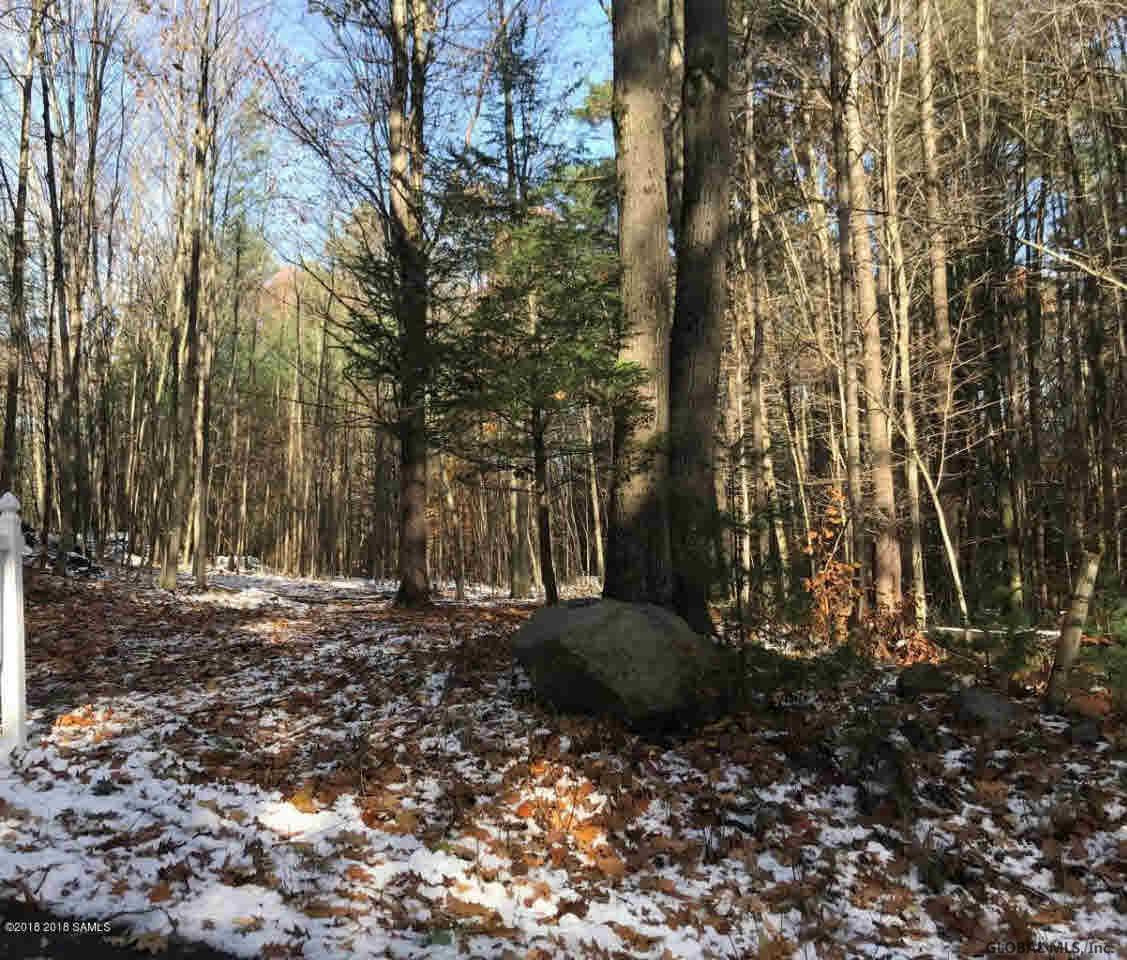 1 Dodd Hill Road Hague, NY 12836 - Photo 1 of 4 Photo 1