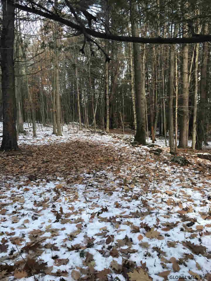 1 Dodd Hill Road Hague, NY 12836 - Photo 2 of 4 Photo 2