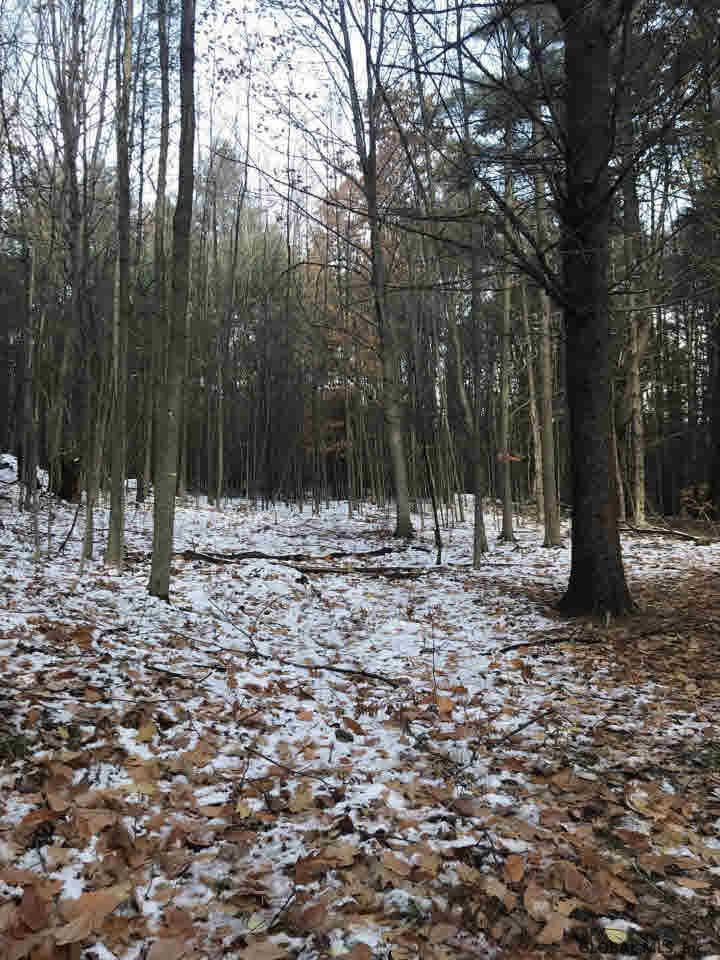1 Dodd Hill Road Hague, NY 12836 - Photo 3 of 4 Photo 3