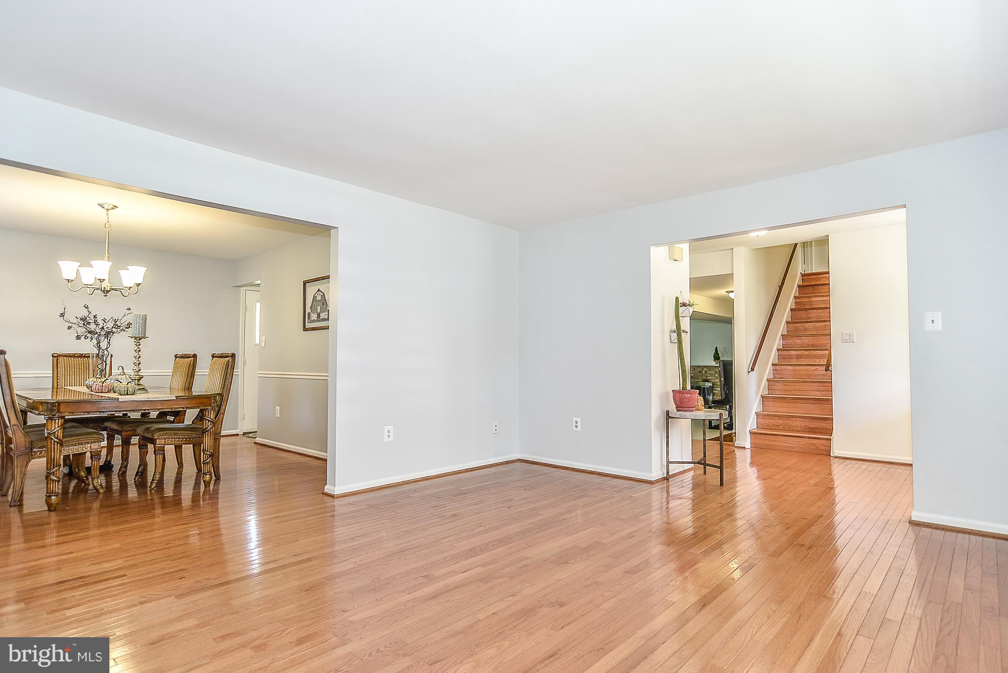 7124 Hamor Lane Springfield, VA 22153 - Photo 7 of 30 New paint