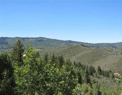 25 Andorra Road Edwards, CO 81632 - Photo 8 of 17 a view of a mountain range with lush green forest
