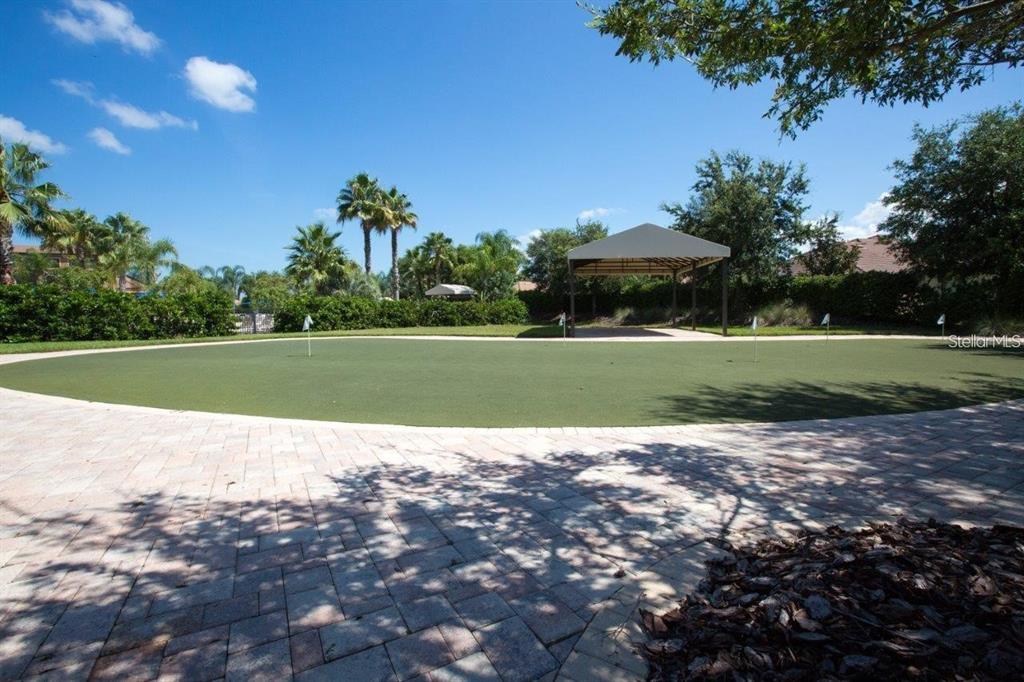 140 Shell Falls Drive Apollo Beach, FL 33572 - Photo 41 of 48