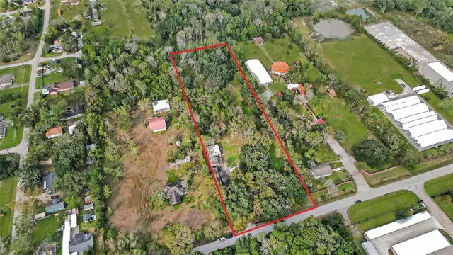 a view of plant from a balcony