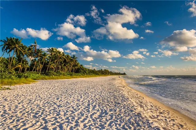 $15,000 | 975 Tivoli Court, Naples, FL 34104