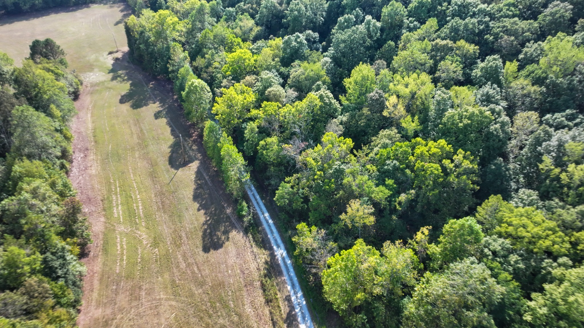 8 John Ross Hollow Road Erin, TN 37061 - Photo 2 of 14